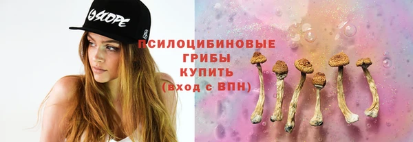a pvp Алексин