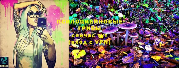 a pvp Алексин