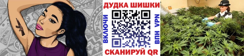 наркота  Кыштым  kraken зеркало  Каннабис план 